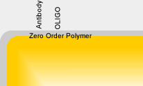 zero order construct